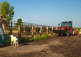 Allrad-Traktoren Massey Ferguson MF 1765 M