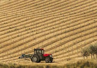 Allrad-Traktoren Case IH Quantum 80 CL Rops