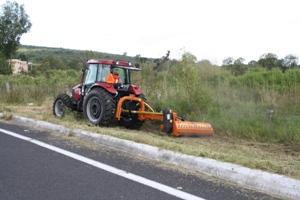 Sommerdienstgeräte Böschungsmäher Berti TA/PF 200