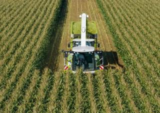 Feldhäcksler 4-WD Claas Jaguar 870