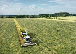 Feldhäcksler 4-WD Claas Jaguar 980