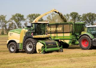 Krone