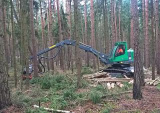 Forstmaschinen Forst-Vollernter Neuson Forest 103HVT