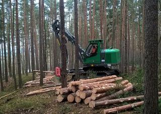 Forstmaschinen Forst-Vollernter Neuson Forest 104HV