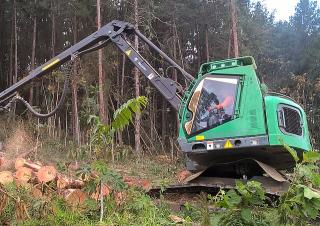 Forstmaschinen Forst-Vollernter Neuson Forest 183HVT