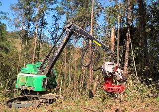 Forstmaschinen Forst-Vollernter Neuson Forest 183HVT