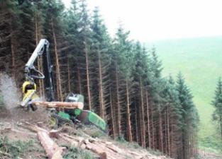 Forstmaschinen Forst-Vollernter John Deere 1270 E IT4