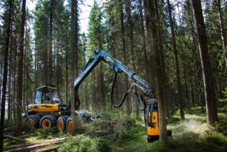 Forstmaschinen Forst-Vollernter Ponsse Fox