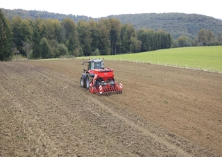Grubber Kuhn CD 3520