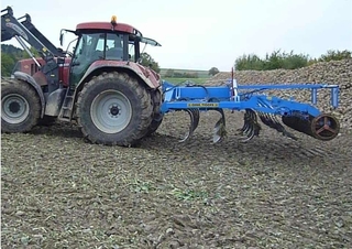 Grubber Tigges Perlit 4503