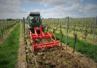 Grubber Maschio Pinocchio 130/3