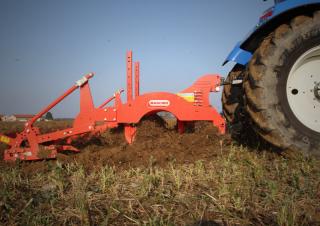 Grubber Maschio Pinocchio 200/5