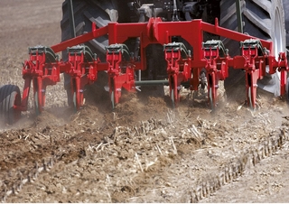 Grubber Unia Plow B 6 