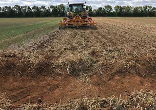 Grubber Agrisem Vibromulch 4.00
