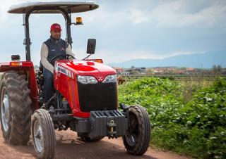 Hinterrad-Traktoren Massey Ferguson MF 2630