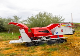 Entsorgung Holzhäcksler Bugnot BV-N 56 XL 25E