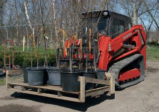 Kompaktlader Manitou 2100RT NXT:3