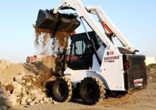 Bobcat