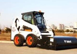 Bobcat