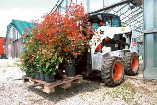 Kompaktlader Bobcat S 160