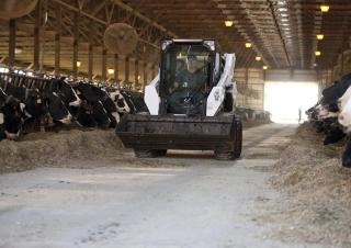 Kompaktlader Bobcat S590