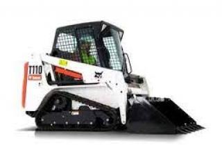 Bobcat