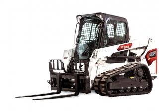 Bobcat