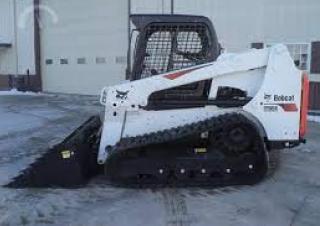 Bobcat
