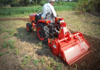 Kreiseleggen Maschio A 100