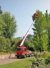 Teleskoparbeitsbühnen LKW-Teleskoparbeitsbühnen Multitel 160 Alu R