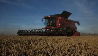 Mähdrescher Case IH Axial Flow 8120