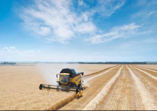 Mähdrescher New Holland CX 6090 Elevation