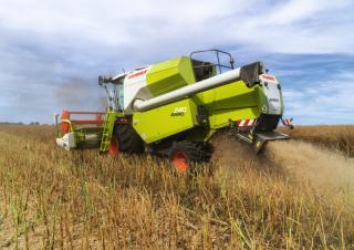 Mähdrescher Claas Avero 240