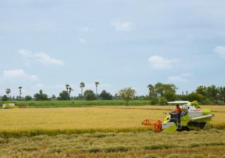Claas