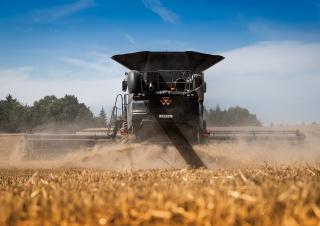 Mähdrescher Massey Ferguson Ideal 9