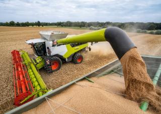 Mähdrescher Claas Lexion 6900 