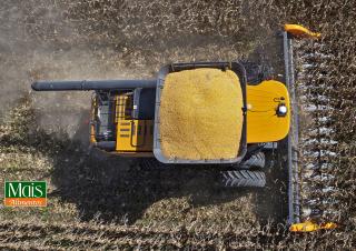 Valtra