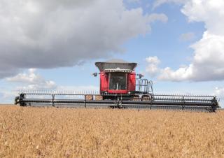Massey Ferguson