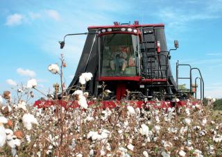 Mähdrescher Case IH Module Express 635