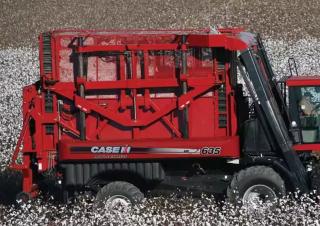 Mähdrescher Case IH Module Express 635