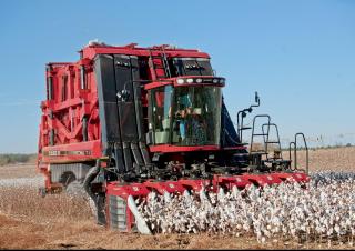 Case IH