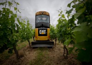 Minibagger Caterpillar 302 CR