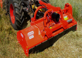 Mulcher Maschio Bisonte 250