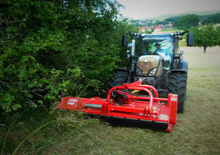 Mulcher Maschio Bisonte 280