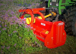Mulcher Maschio Bisonte 300