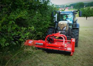 Mulcher Maschio Bisonte 300