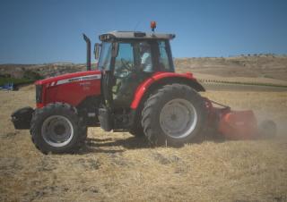 Mulcher Maschio Chiara 230 S