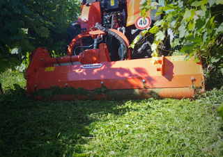 Mulcher Maschio Furba 100