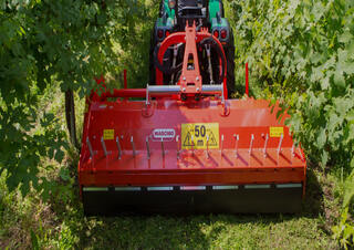 Mulcher Maschio Tigre 250