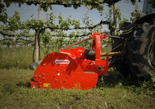 Mulcher Maschio Tigre 250
